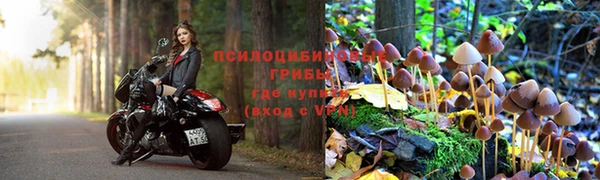 бутират Алзамай