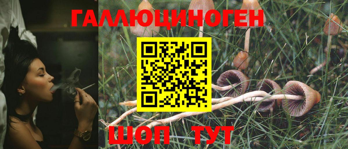 Псилоцибиновые грибы Cubensis Самара