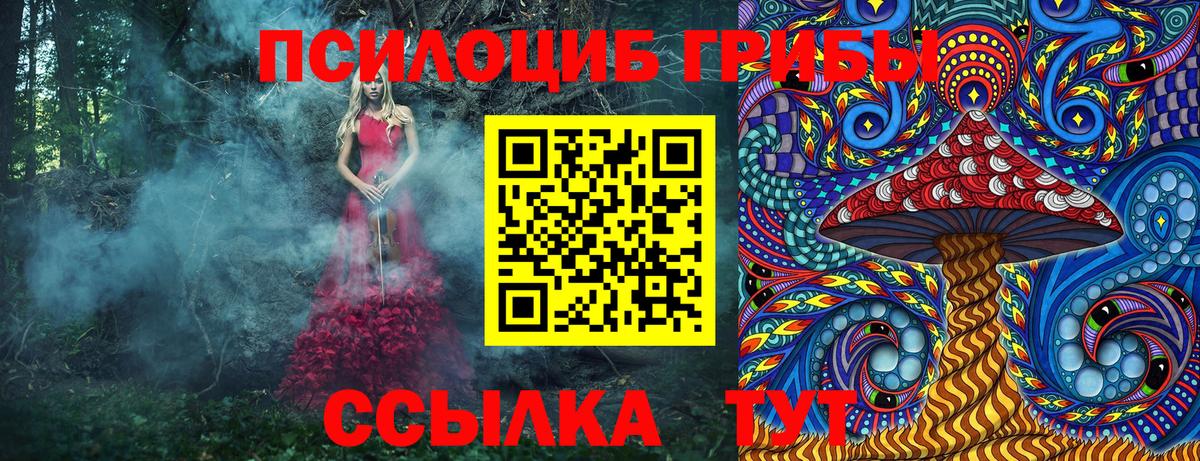 Галлюциногенные грибы мицелий Самара