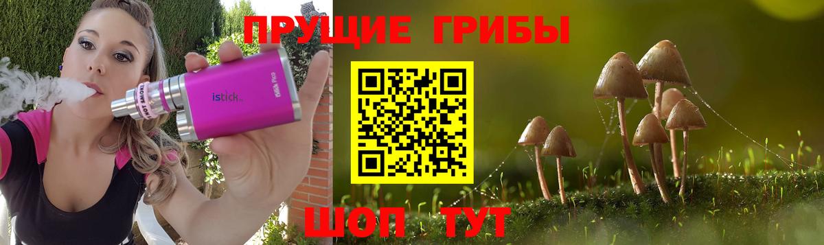 Самара  Галлюциногенные грибы мухоморы  Псилоцибиновые грибы Psilocybe  Вход с VPN 