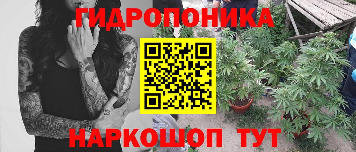 Бошки Шишки Amnesia  Бошки марихуана OG Kush  Вход с VPN  МАРИХУАНА Amnesia  Самара 
